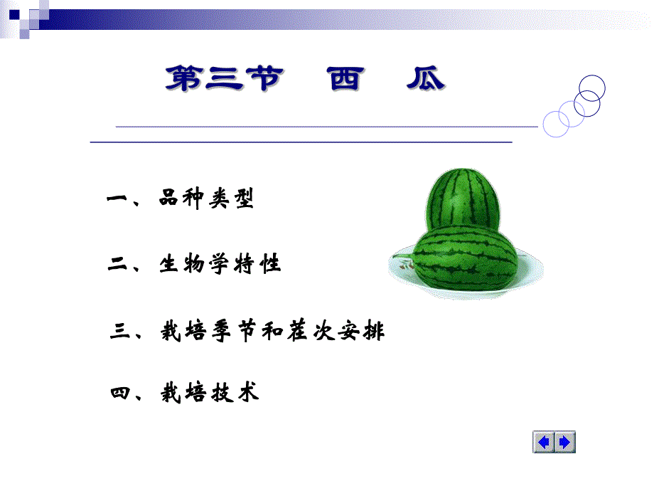 蔬菜栽培学第五章第三节西瓜.ppt_第2页