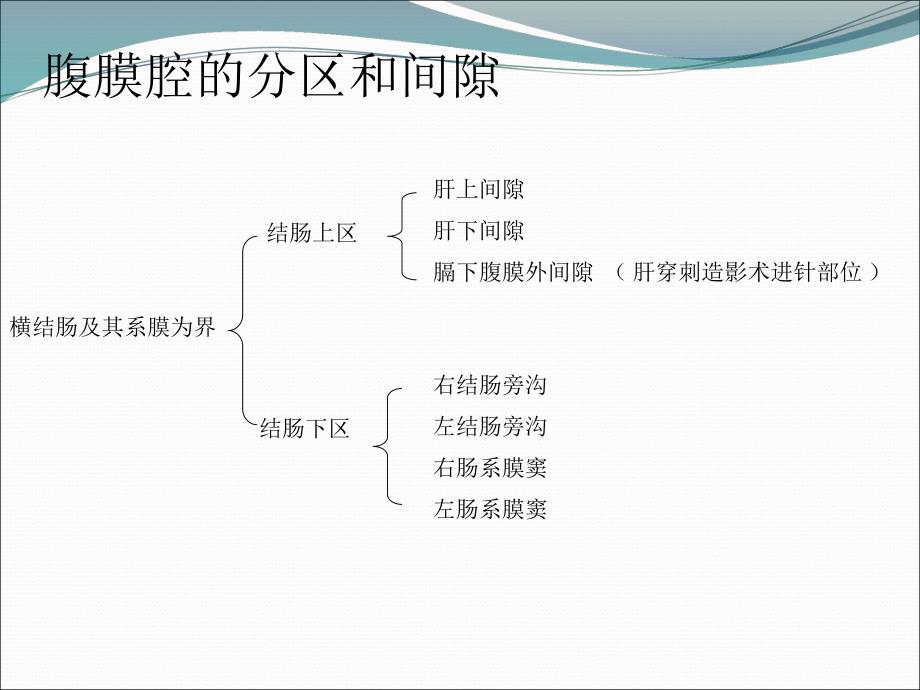 腹部结肠上区.ppt_第1页