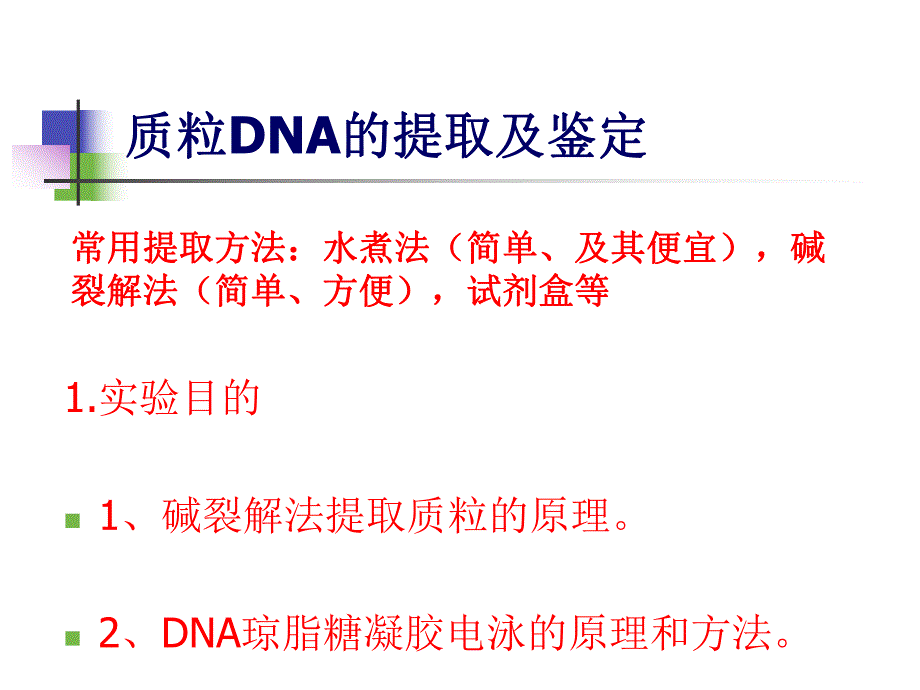 质粒DNA的提取及鉴定.ppt_第1页