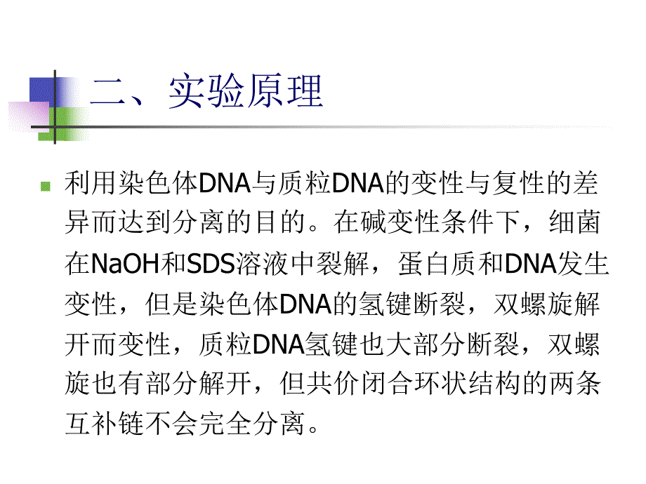 质粒DNA的提取及鉴定.ppt_第2页