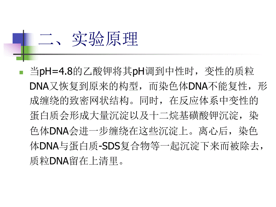 质粒DNA的提取及鉴定.ppt_第3页