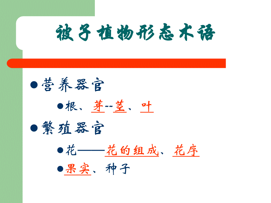 被子植物形态术语自学.ppt_第2页