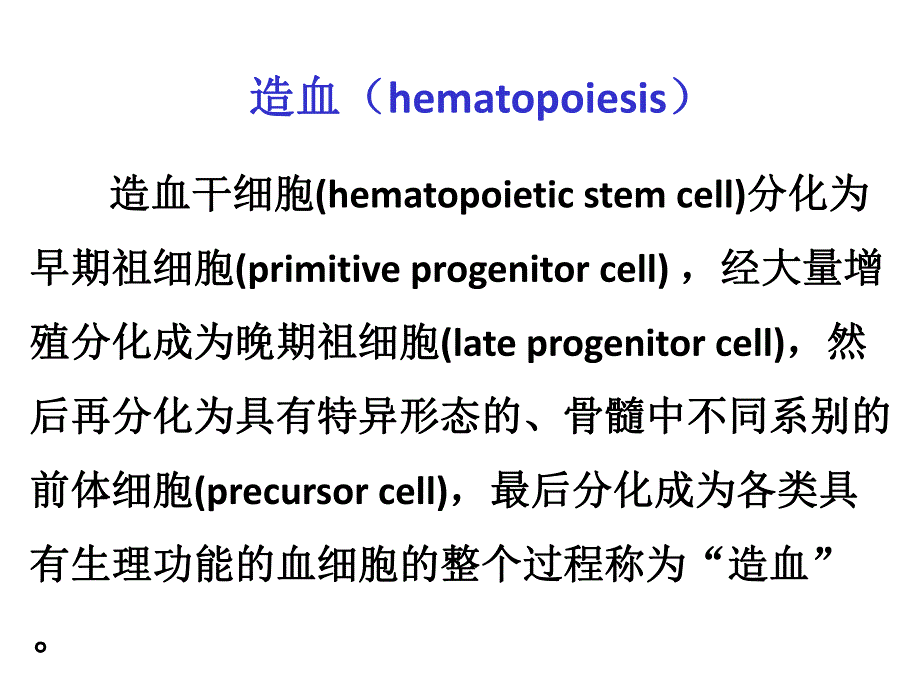 造血干细胞的发育调控.ppt_第2页