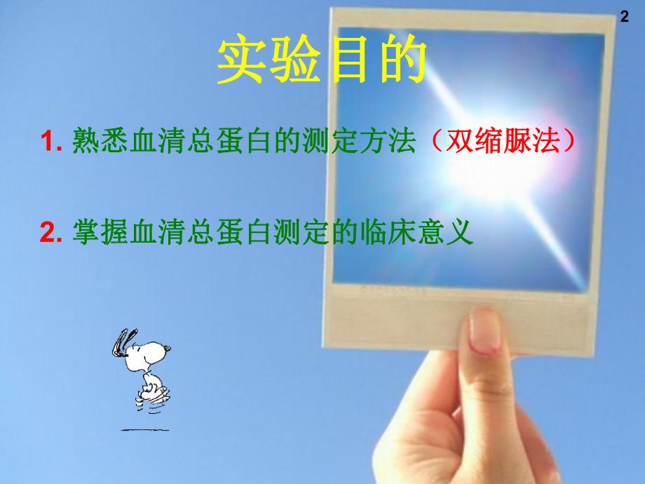 血清蛋白质含量的测定.ppt_第2页