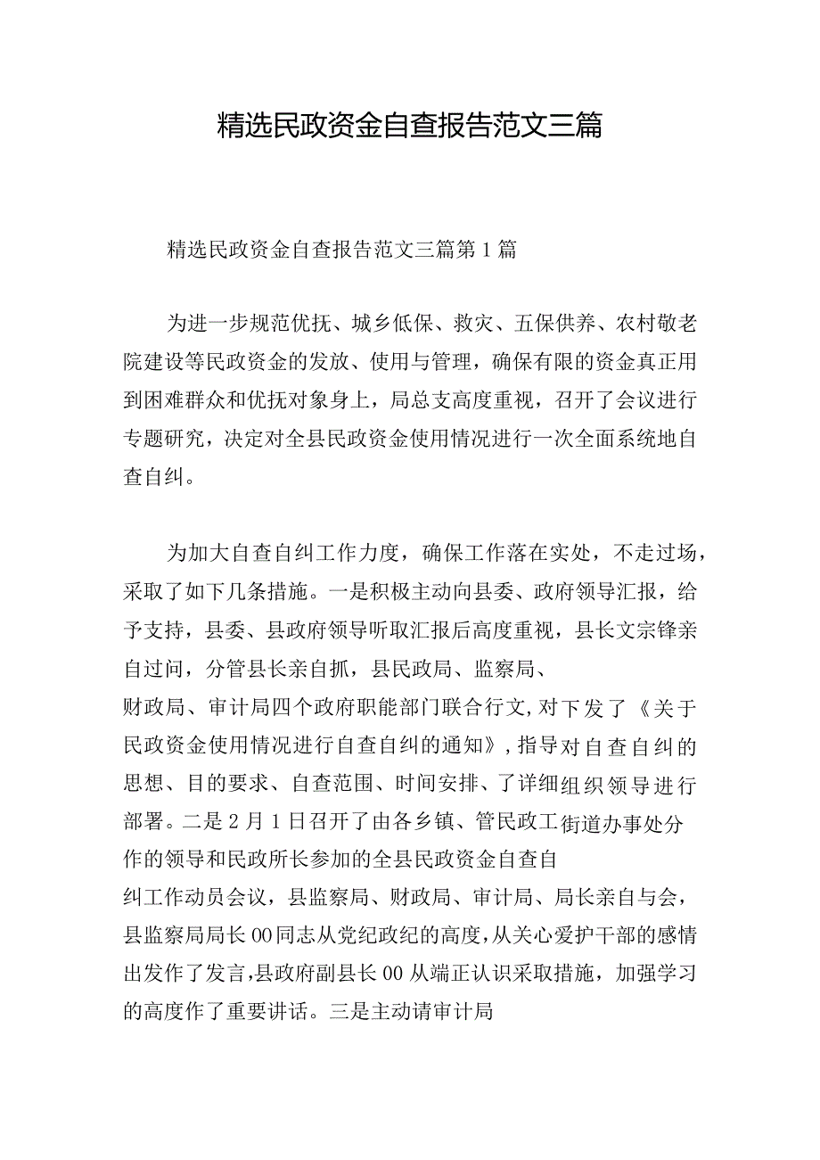 精选民政资金自查报告范文三篇.docx_第1页