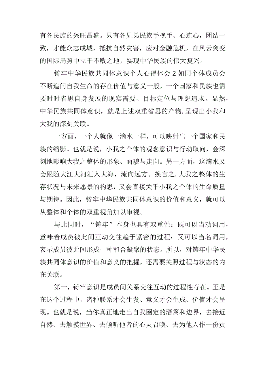 铸牢中华民族共同体意识心得体会精选三篇.docx_第2页