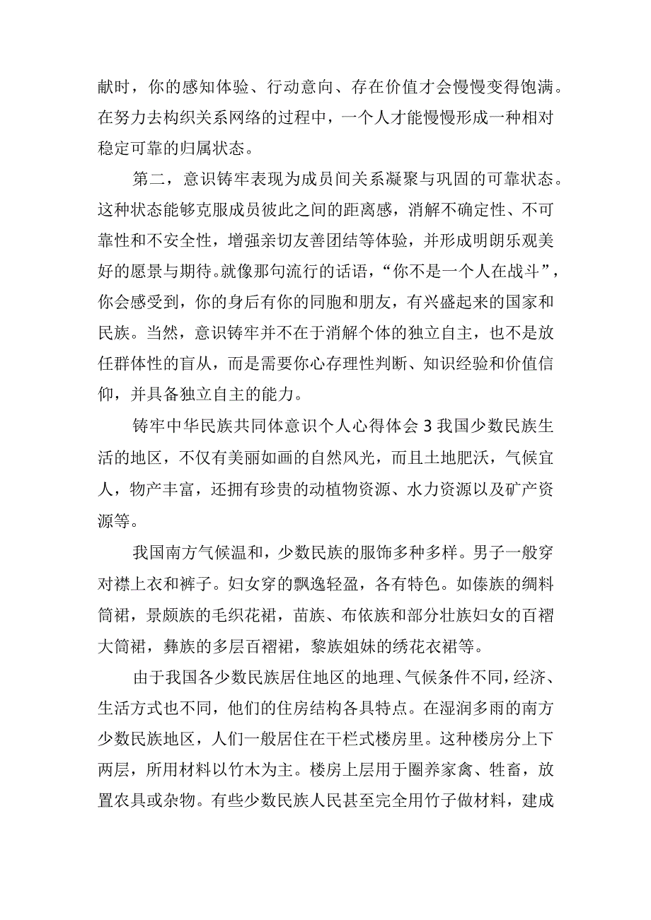 铸牢中华民族共同体意识心得体会精选三篇.docx_第3页