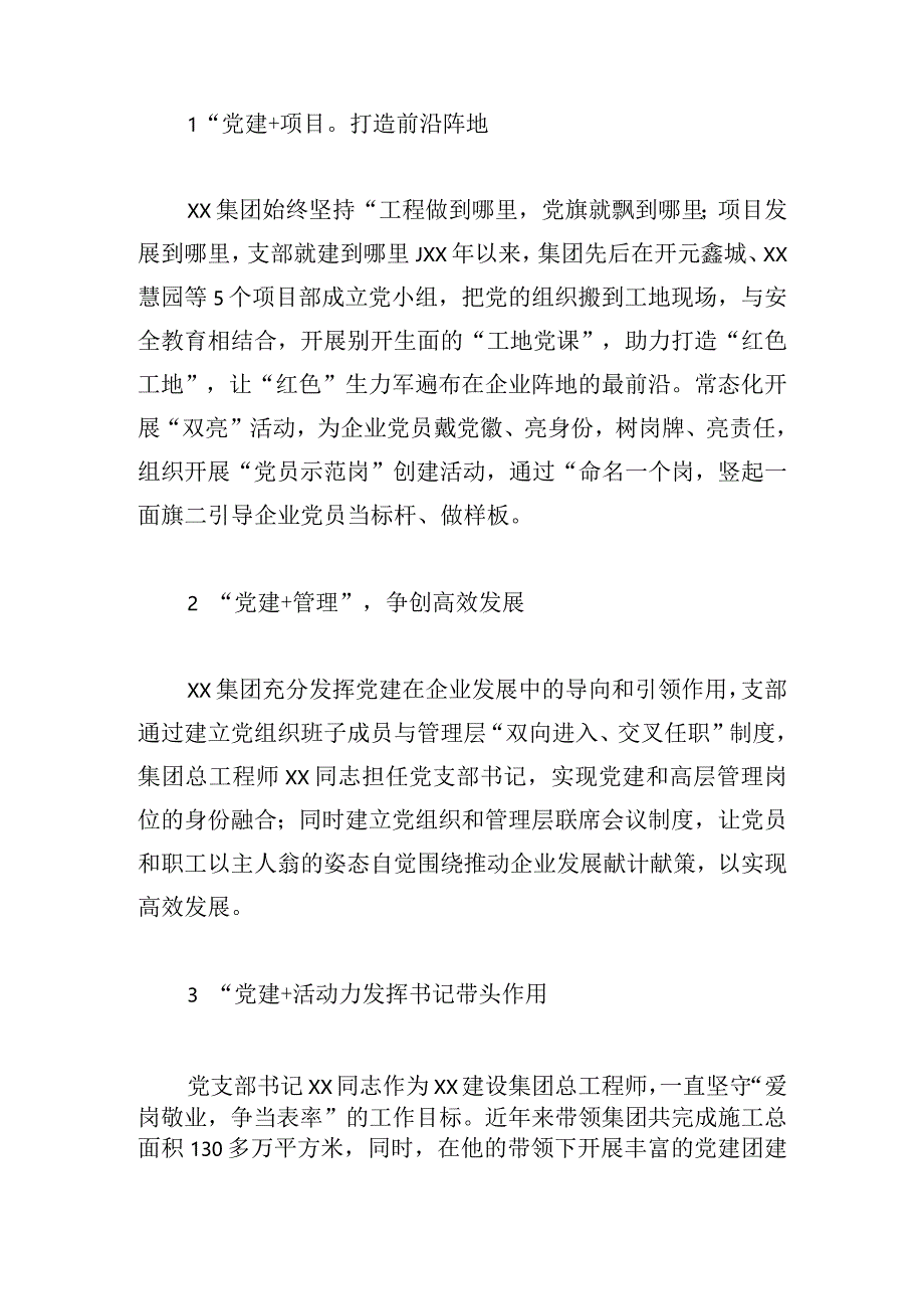 集团公司2023年度党建品牌建设汇报.docx_第2页