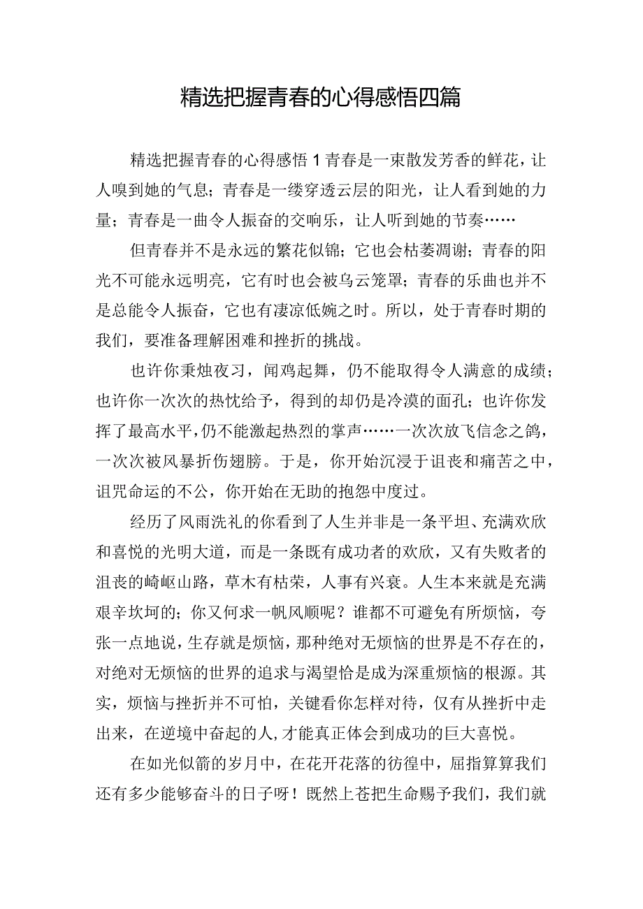 精选把握青春的心得感悟四篇.docx_第1页