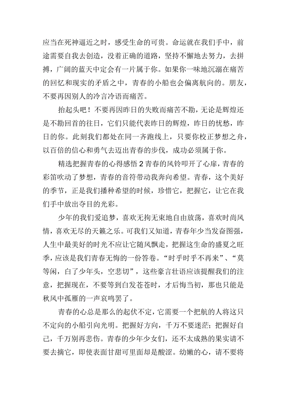 精选把握青春的心得感悟四篇.docx_第2页