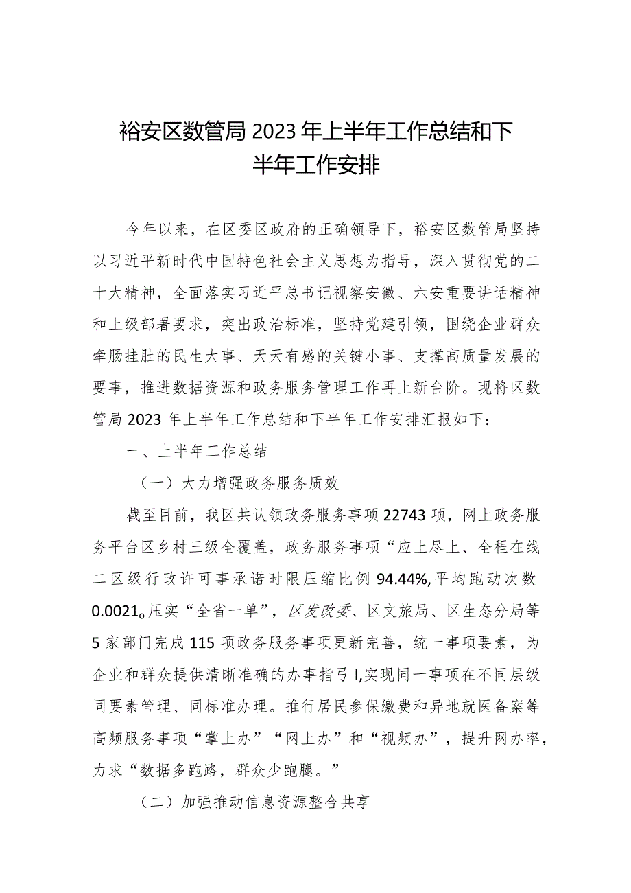 裕安区数管局2023年上半年工作总结和下半年工作安排.docx_第1页