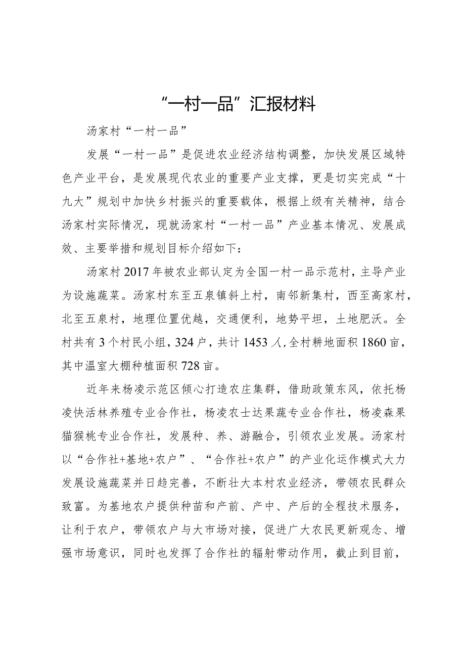 20XX年一村一品汇报材料.docx_第1页