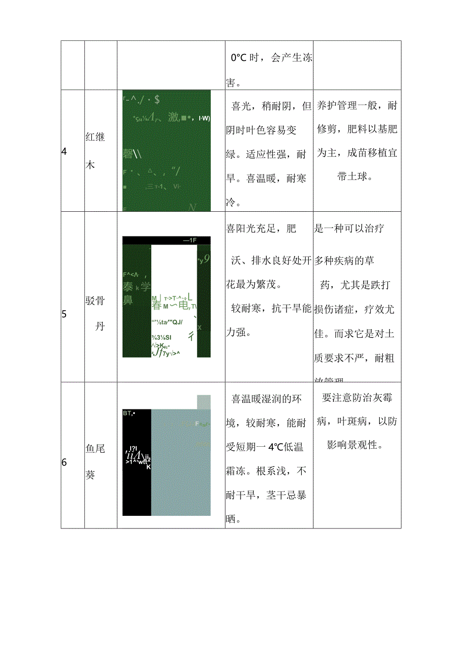 学校绿化养护服务方案.docx_第3页