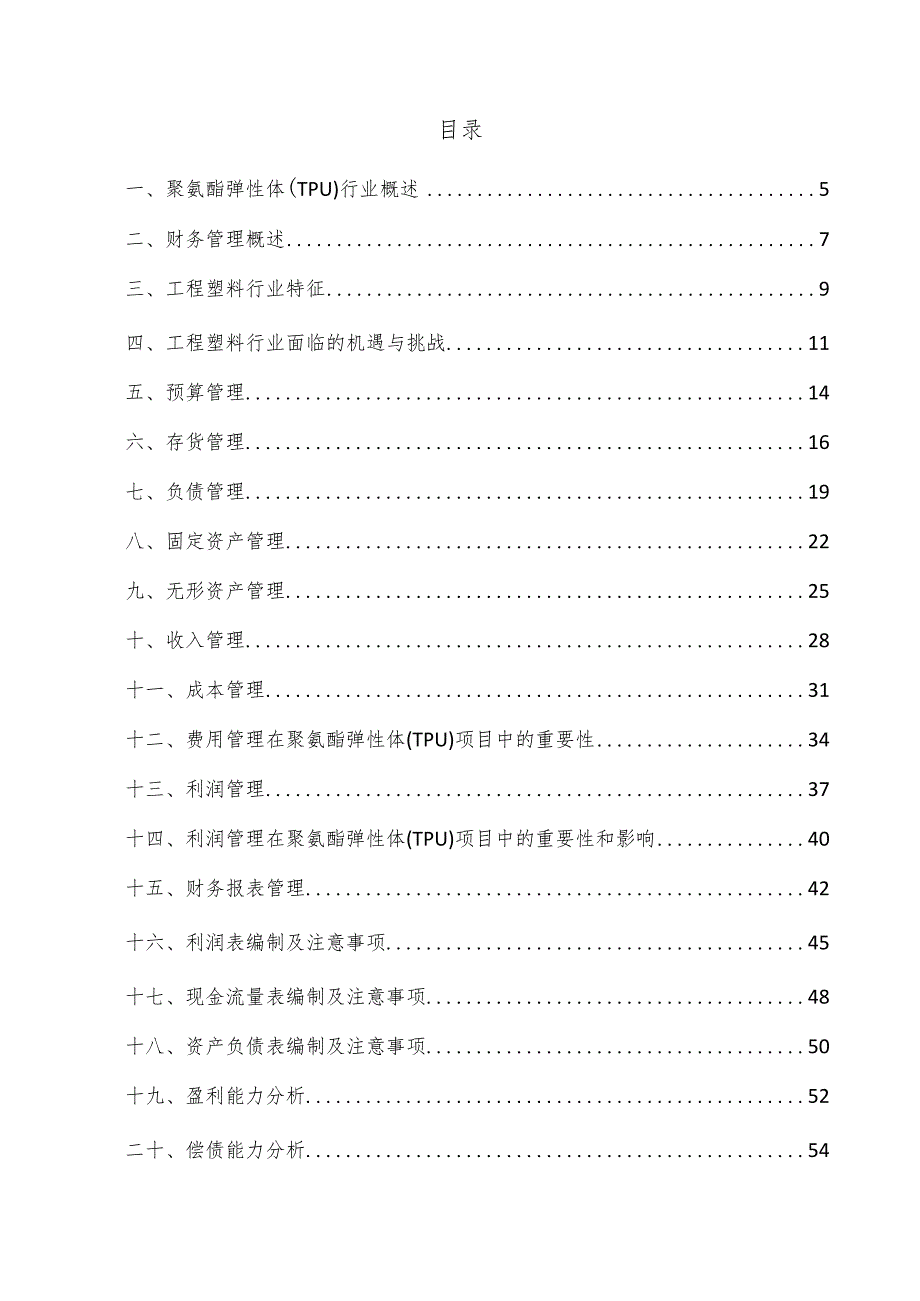 聚氨酯弹性体（TPU）项目财务管理方案.docx_第3页