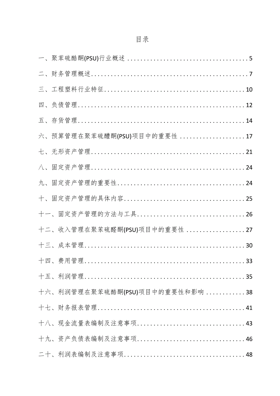 聚苯硫醚酮（PSU）项目财务管理方案.docx_第3页