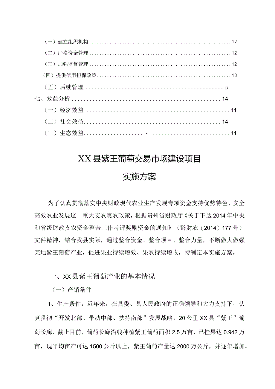 紫王葡萄交易市场建设项目实施方案.docx_第3页