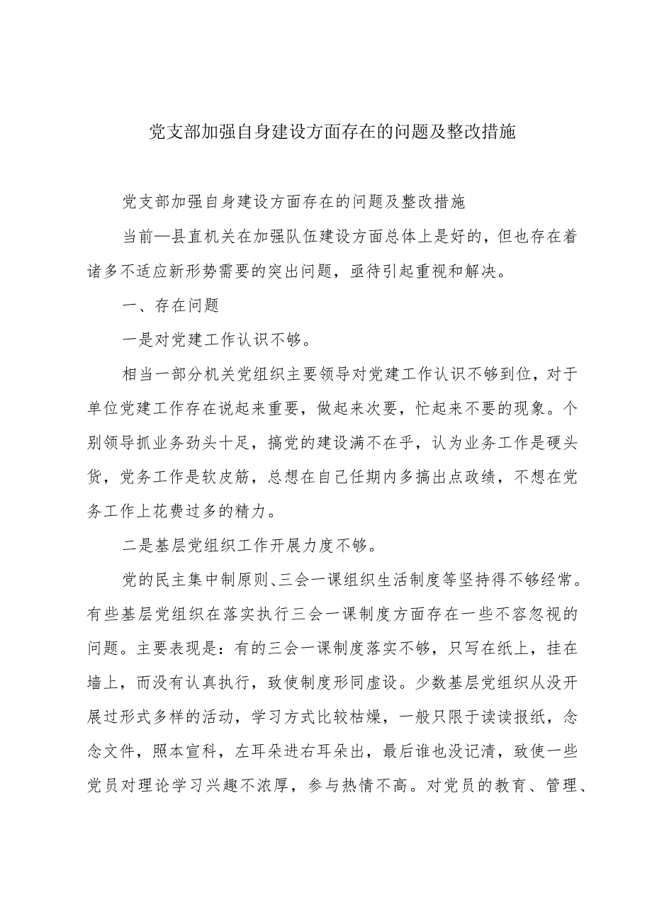 党支部加强自身建设方面存在的问题及整改措施.docx_第1页