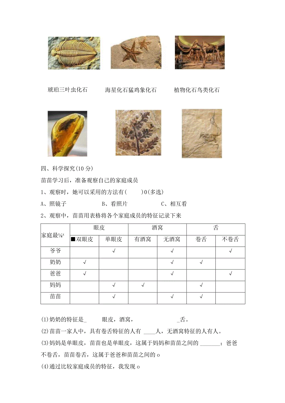 冀人版六年级科学上册第一单元测试题.docx_第3页