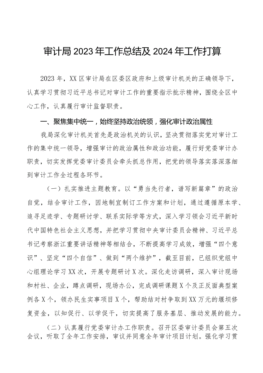 区审计局2023年工作总结及2024年工作打算四篇.docx_第1页