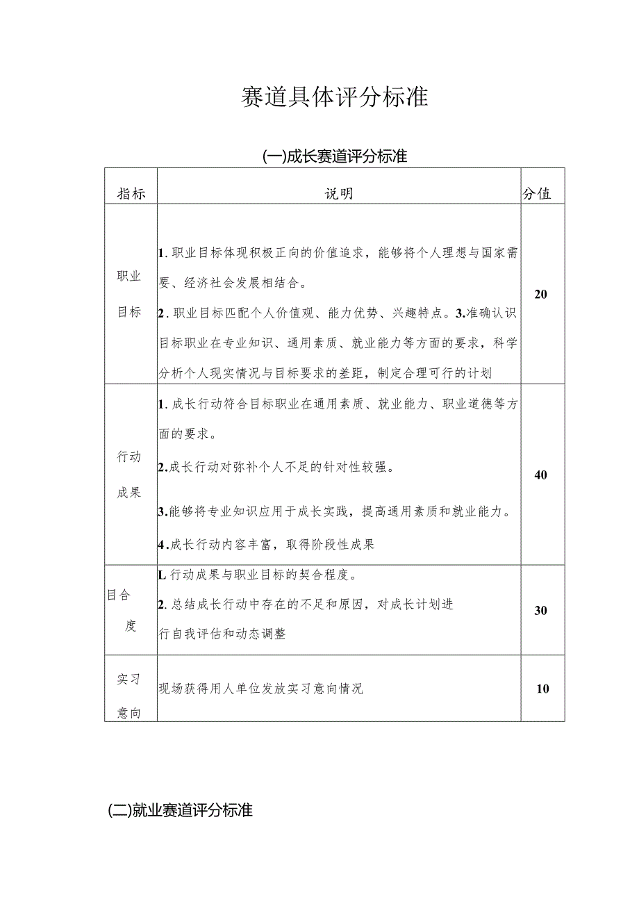 赛道具体评分标准.docx_第1页