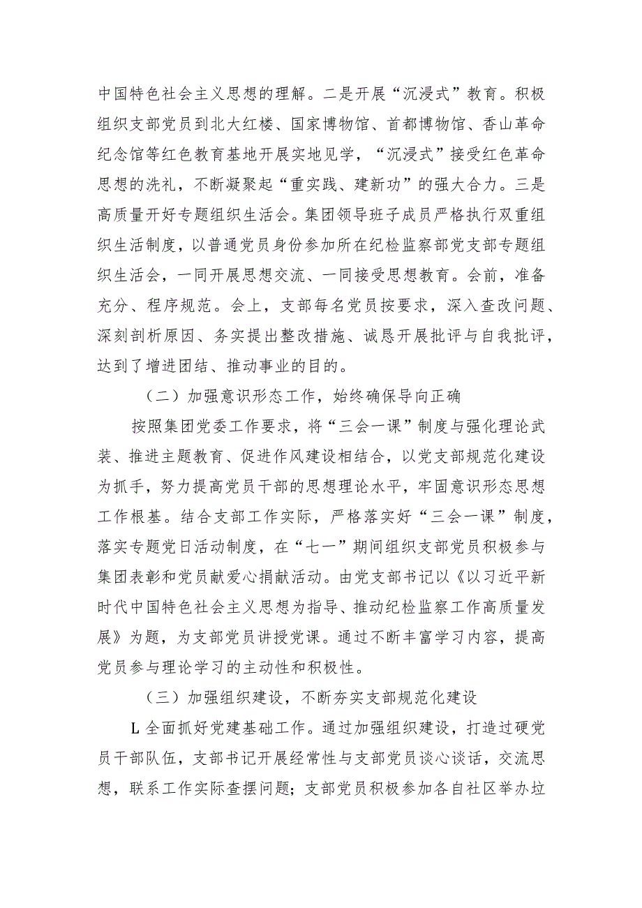 国企纪检监察部党支部全面从严治党（党建）工作报告.docx_第2页