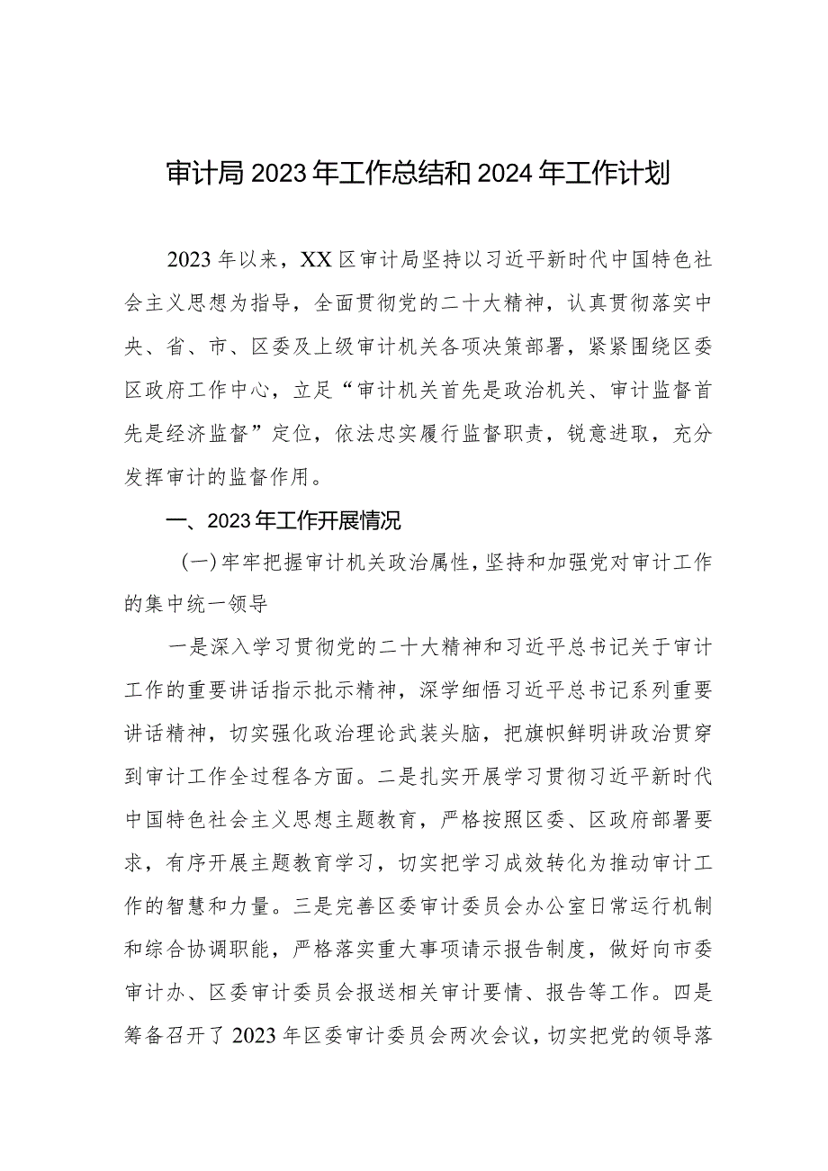 区审计局2023年工作总结和2024年工作计划四篇.docx_第1页