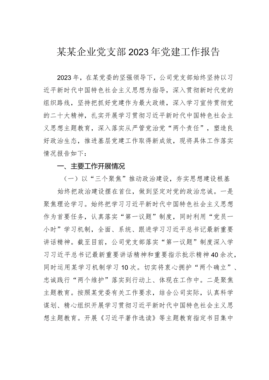 某某企业党支部2023年党建工作报告.docx_第1页