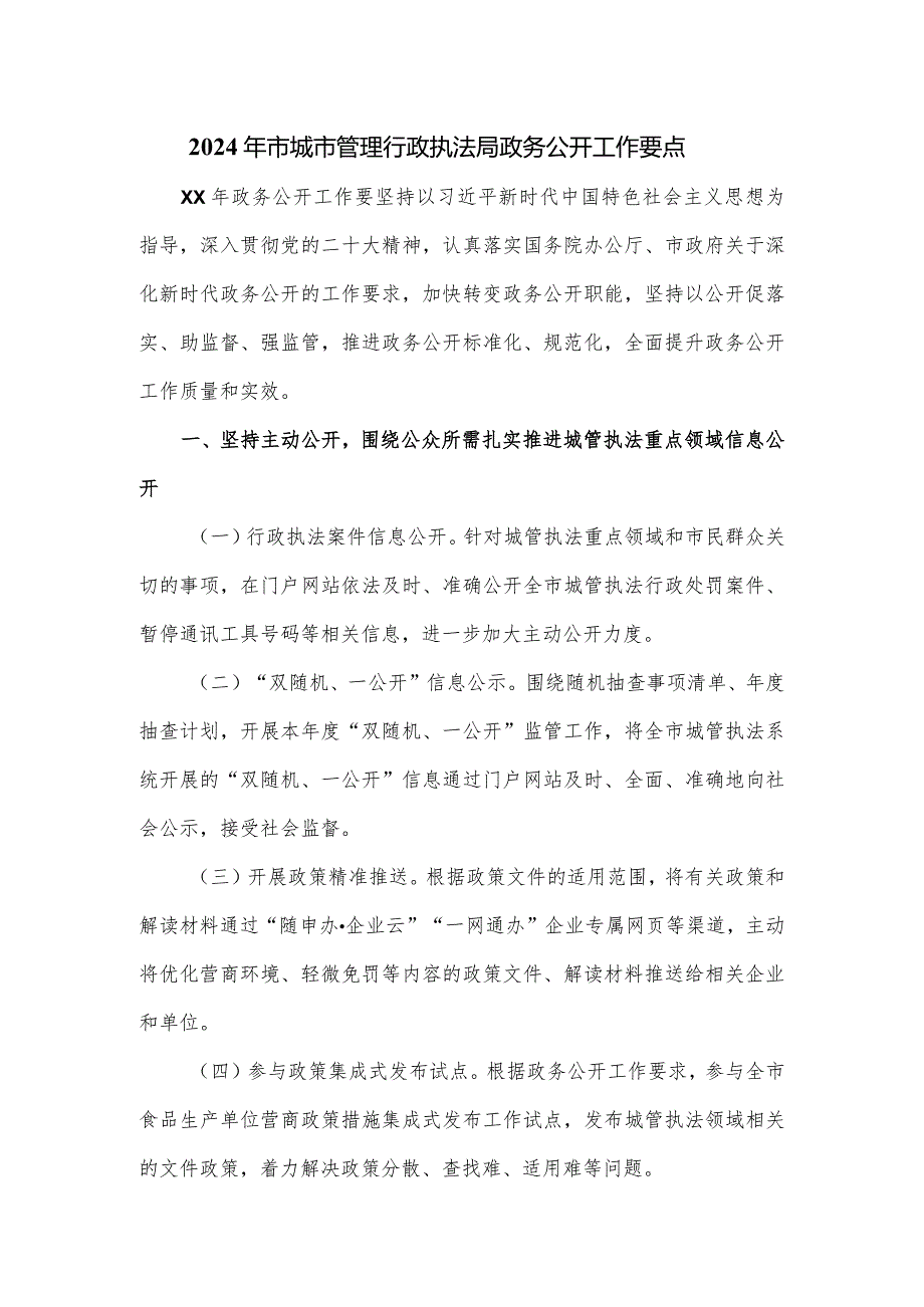 2024年市城市管理行政执法局政务公开工作要点.docx_第1页