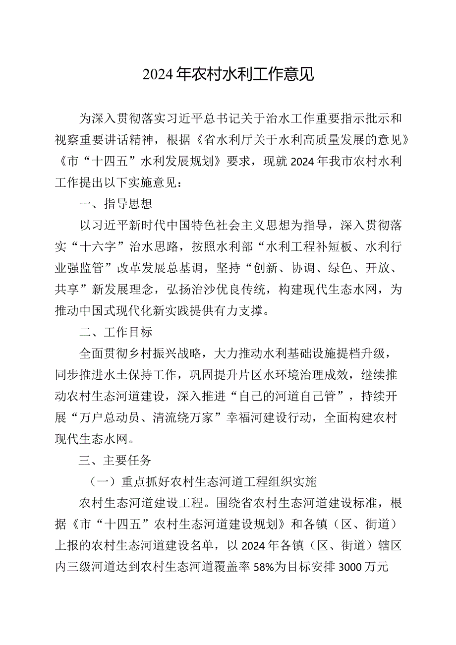 2024年农村水利工作意见.docx_第1页