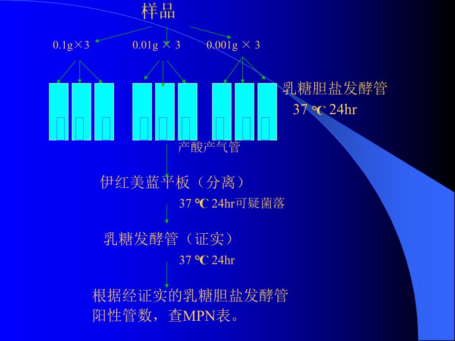 大肠菌群检验.ppt.ppt_第3页