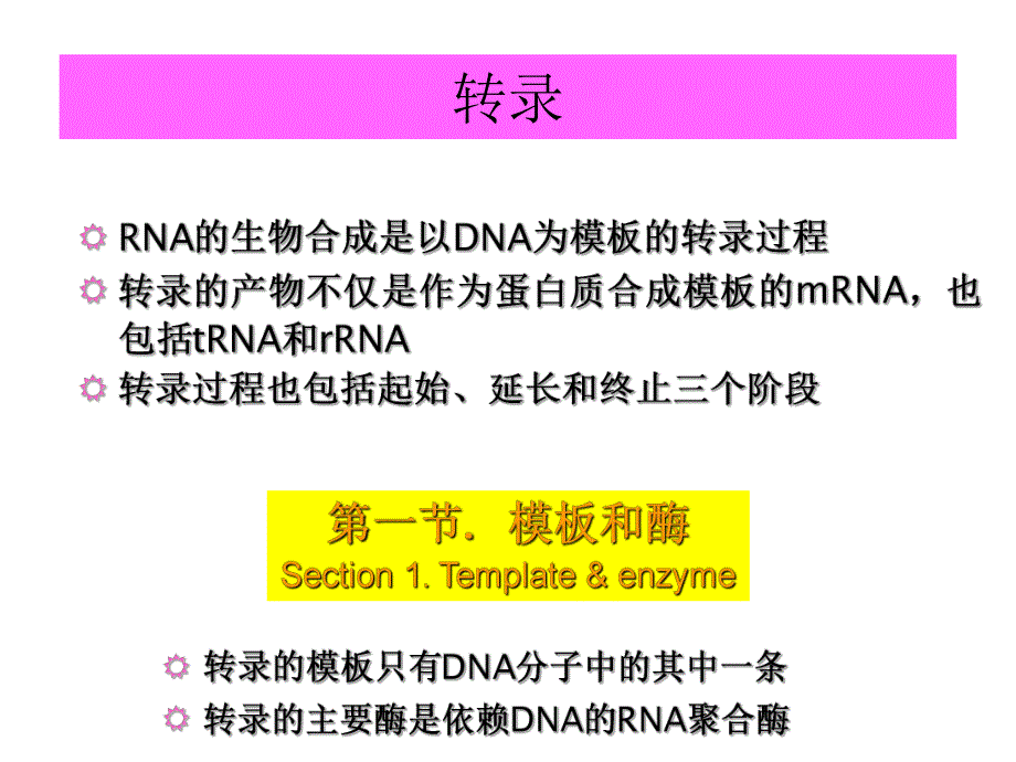 基因表达的调控.ppt_第2页