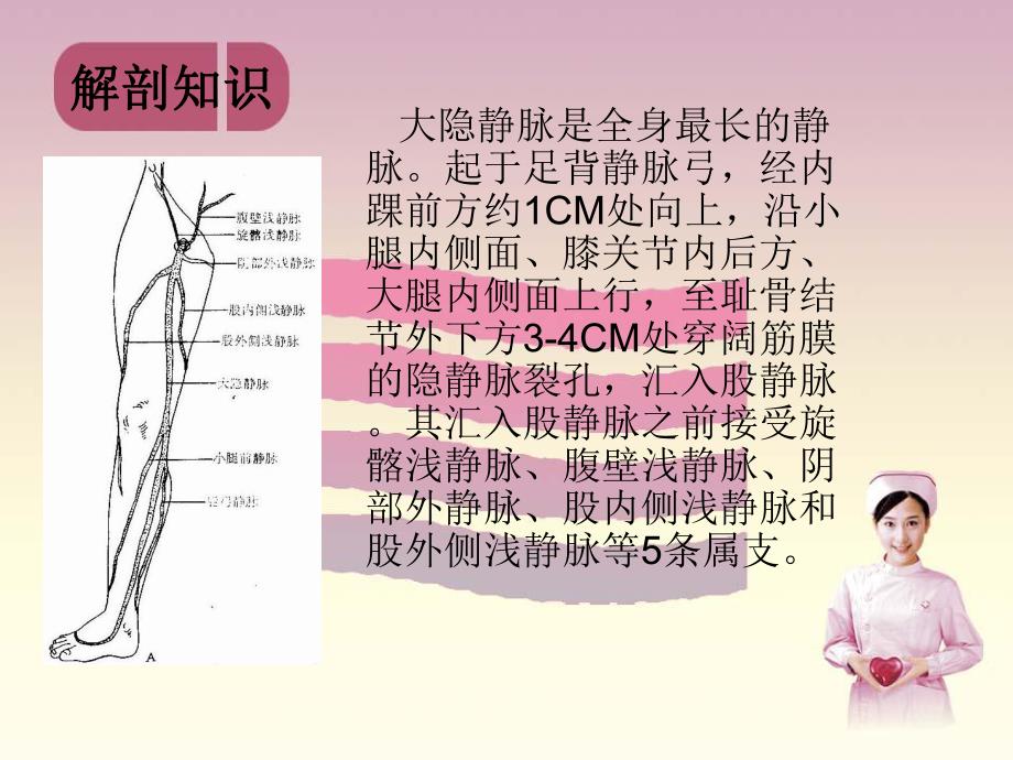 大隐静脉曲张.ppt_第3页