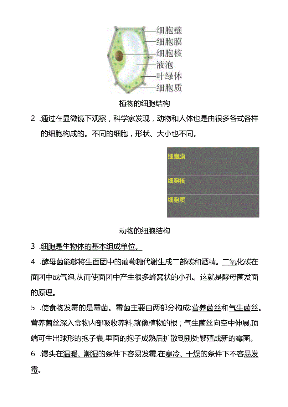 大象版科学（2017）六年级上册知识点总结及练习题附答案.docx_第2页