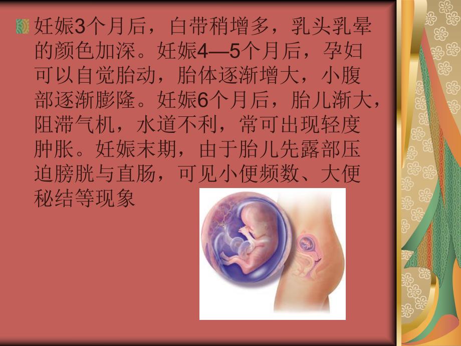 孕产妇中医健康管理技术规范.ppt_第3页