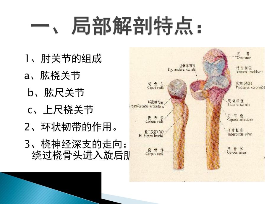 孟氏骨折与盖氏骨折.ppt_第2页