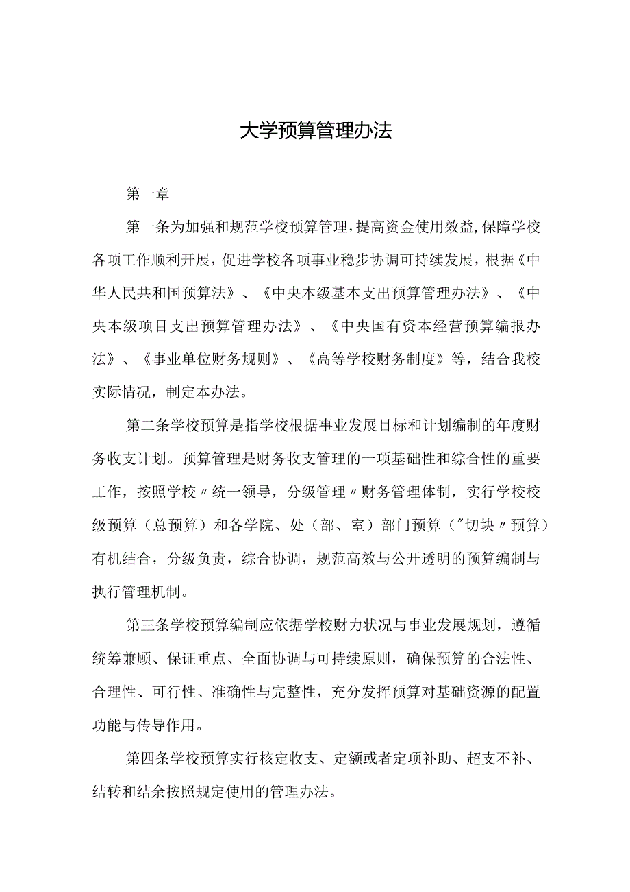 大学预算管理办法.docx_第1页