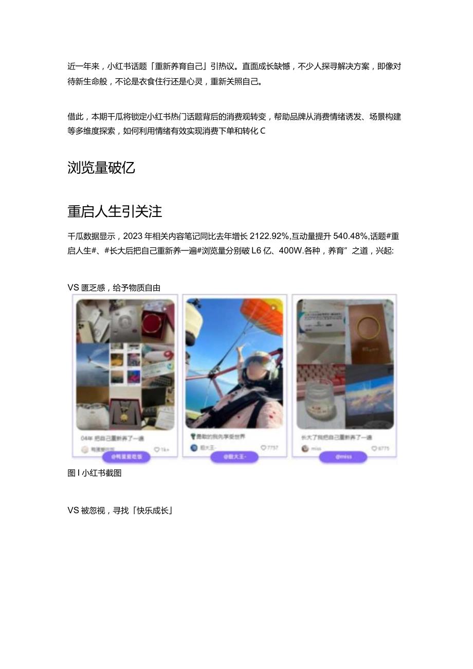 年度大促遇冷？去小红书找一个消费理由.docx_第1页