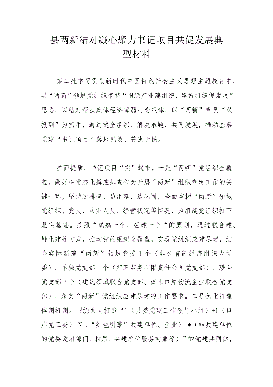 县两新结对凝心聚力书记项目共促发展典型材料.docx_第1页