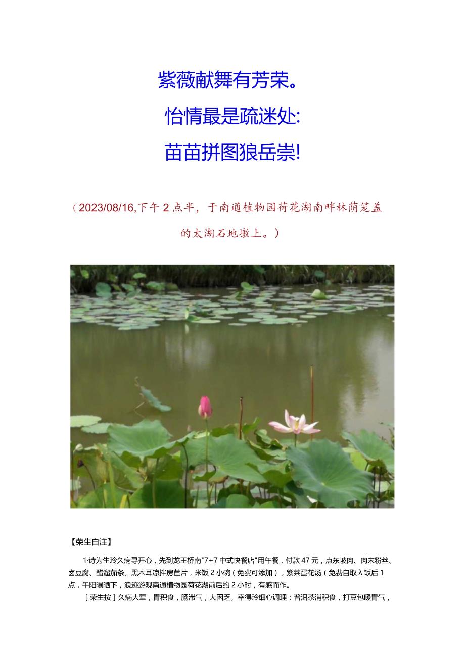 壬寅年立秋后处暑前绕游南通植物园荷花湖.docx_第2页