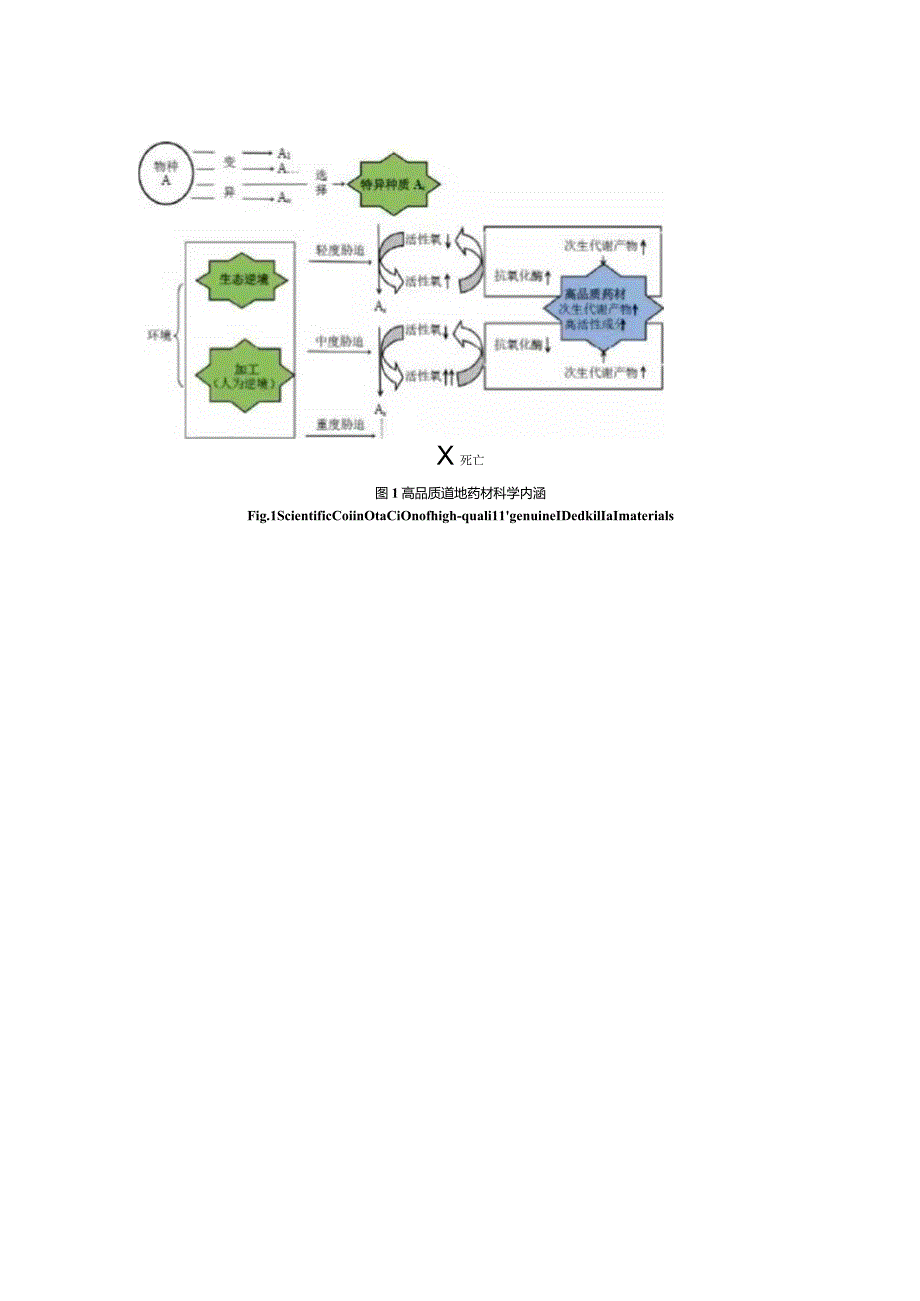 农作物（粮食、果蔬、中药、茶叶、油料、食用菌）品质形成机制.docx_第3页