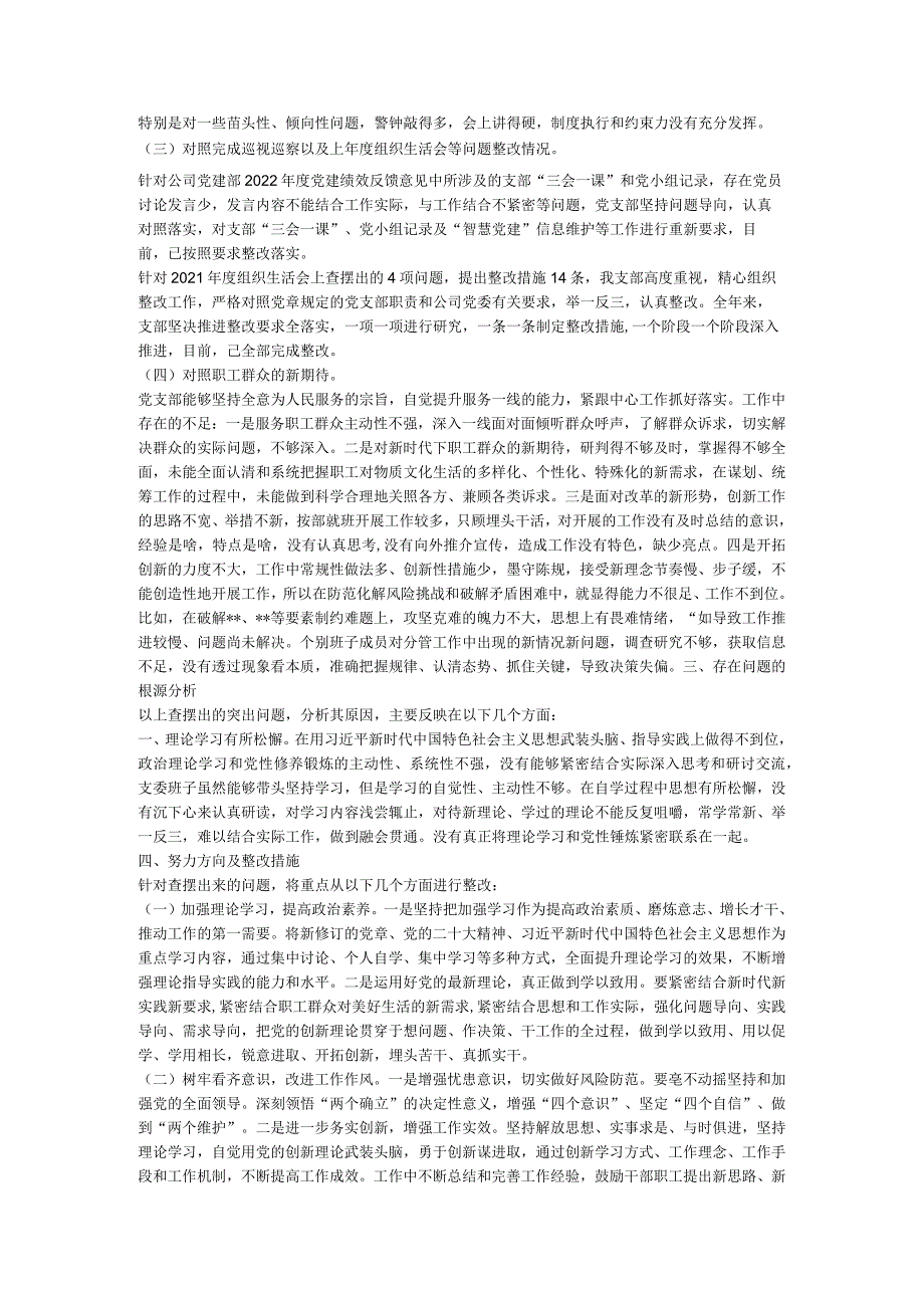 公司党支部班子2022年度组织生活会对照检查材料.docx_第2页