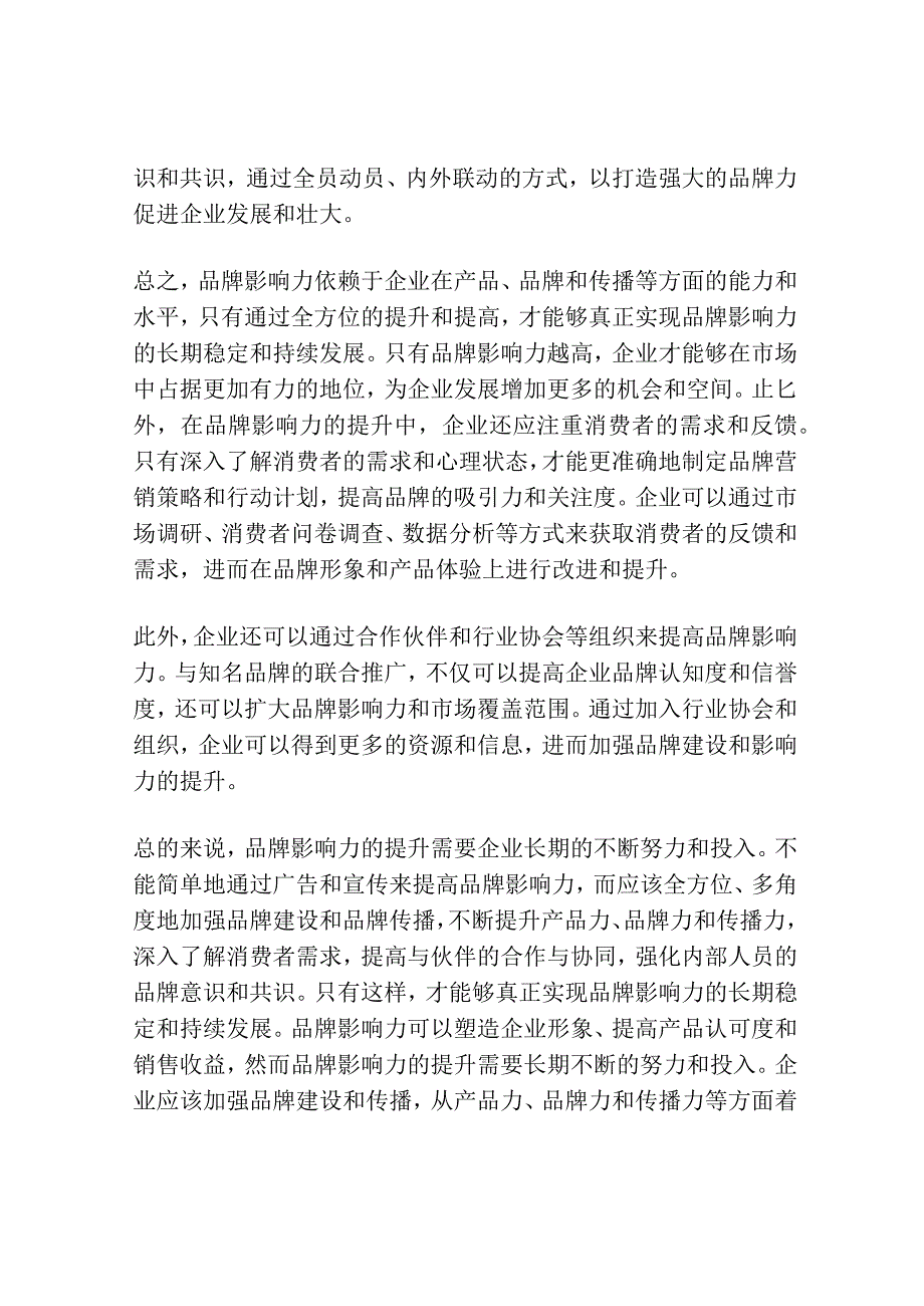 品牌影响力=产品力×品牌力×传播力.docx_第3页