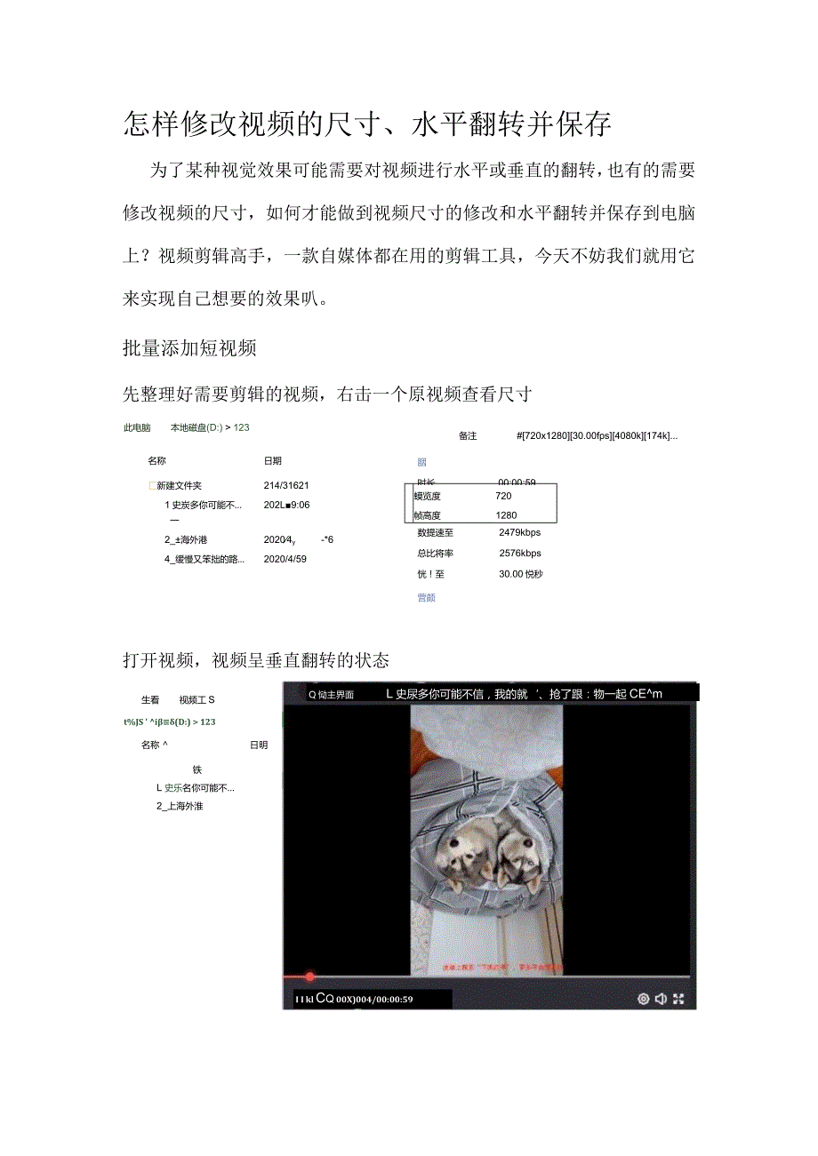 怎样修改视频的尺寸、水平翻转并保存.docx_第1页