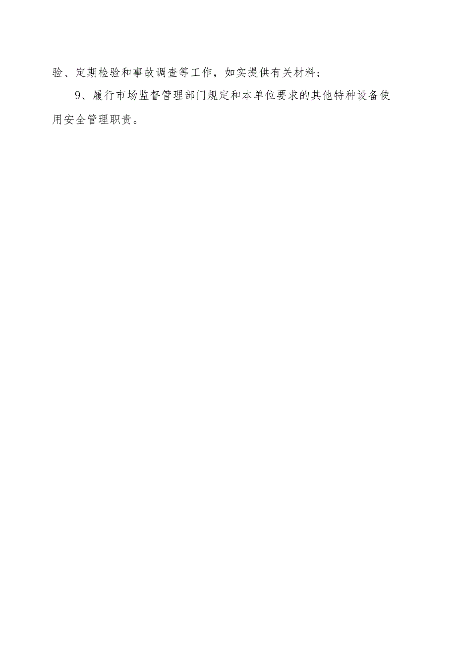 关于任命特种设备安全总监的通知（后附职责）.docx_第3页