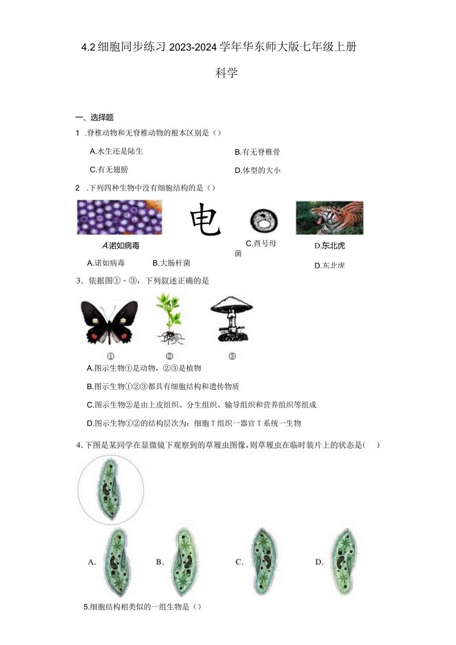 4.2 细胞 同步练习（含解析）.docx_第1页