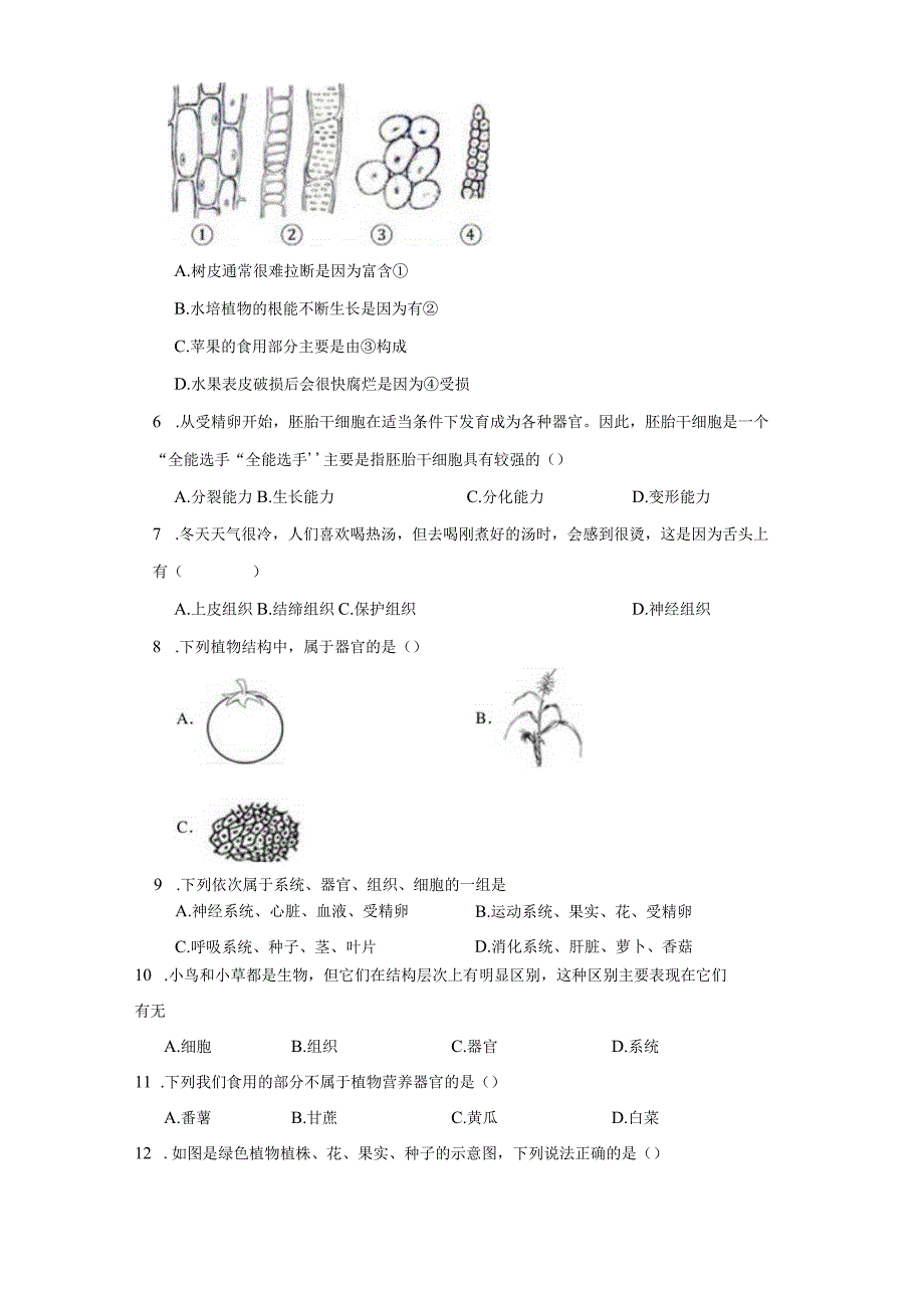 4.3 组织、器官和系统 同步练习（含解析）.docx_第3页