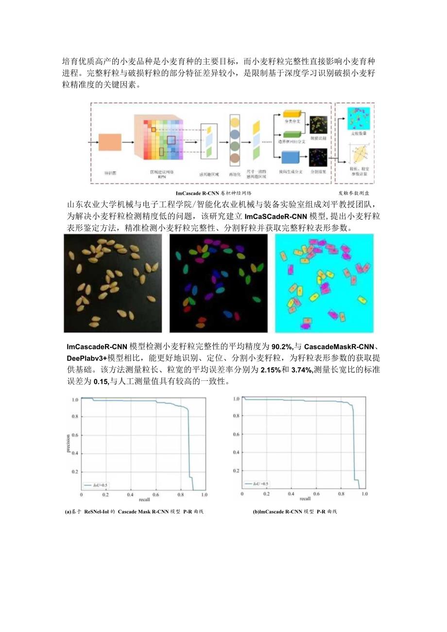 【农业科研】基于深度学习的小麦籽粒表形鉴定方法.docx_第2页