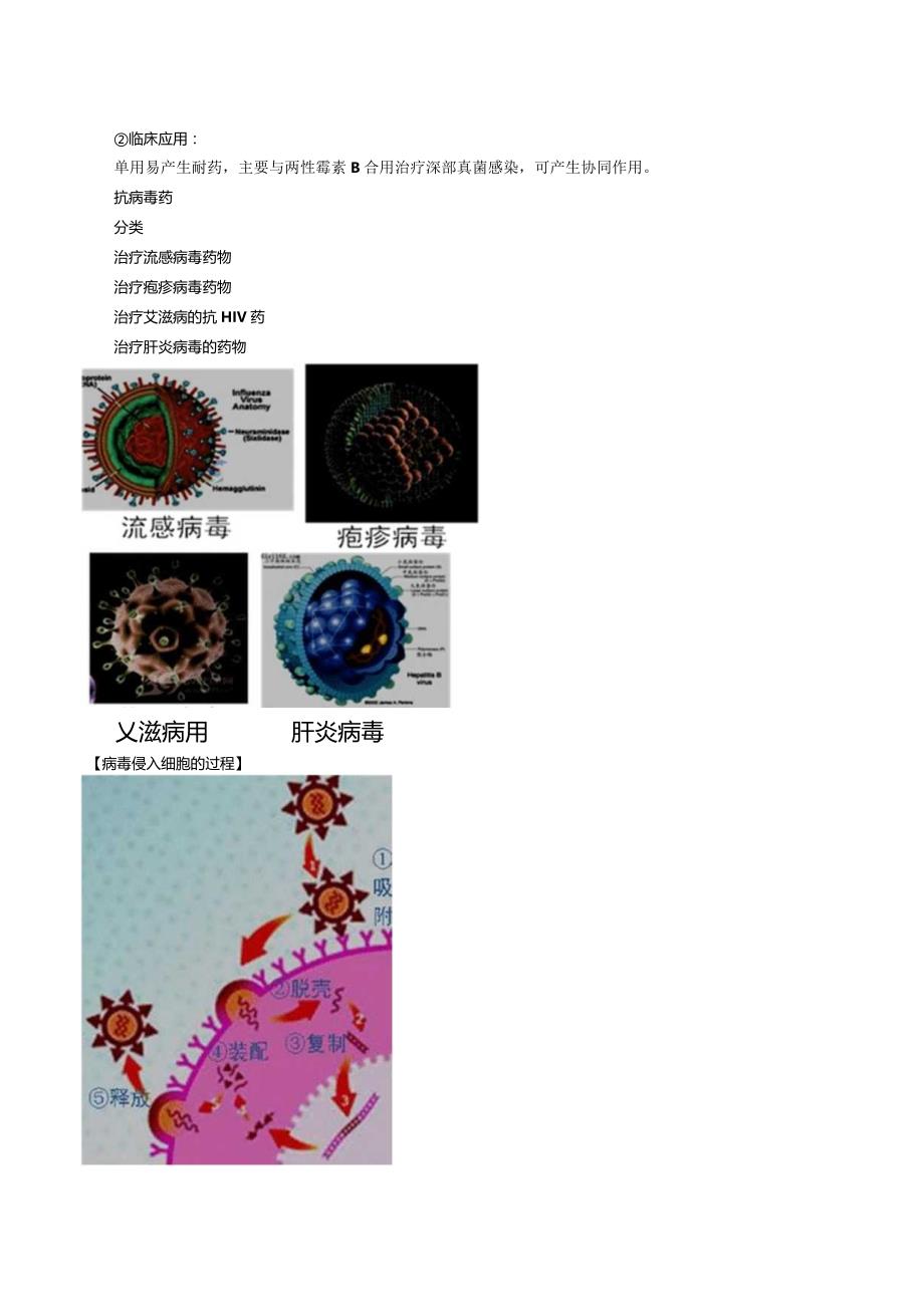 中西医结合药理学-抗病毒药和抗真菌药讲义及练习.docx_第3页