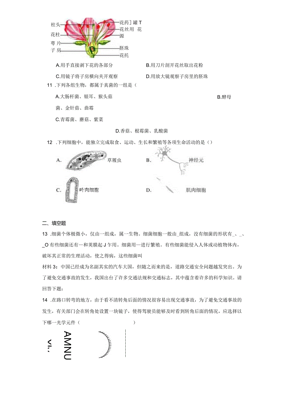 7.1 万物生长靠太阳 同步练习（含解析）.docx_第3页