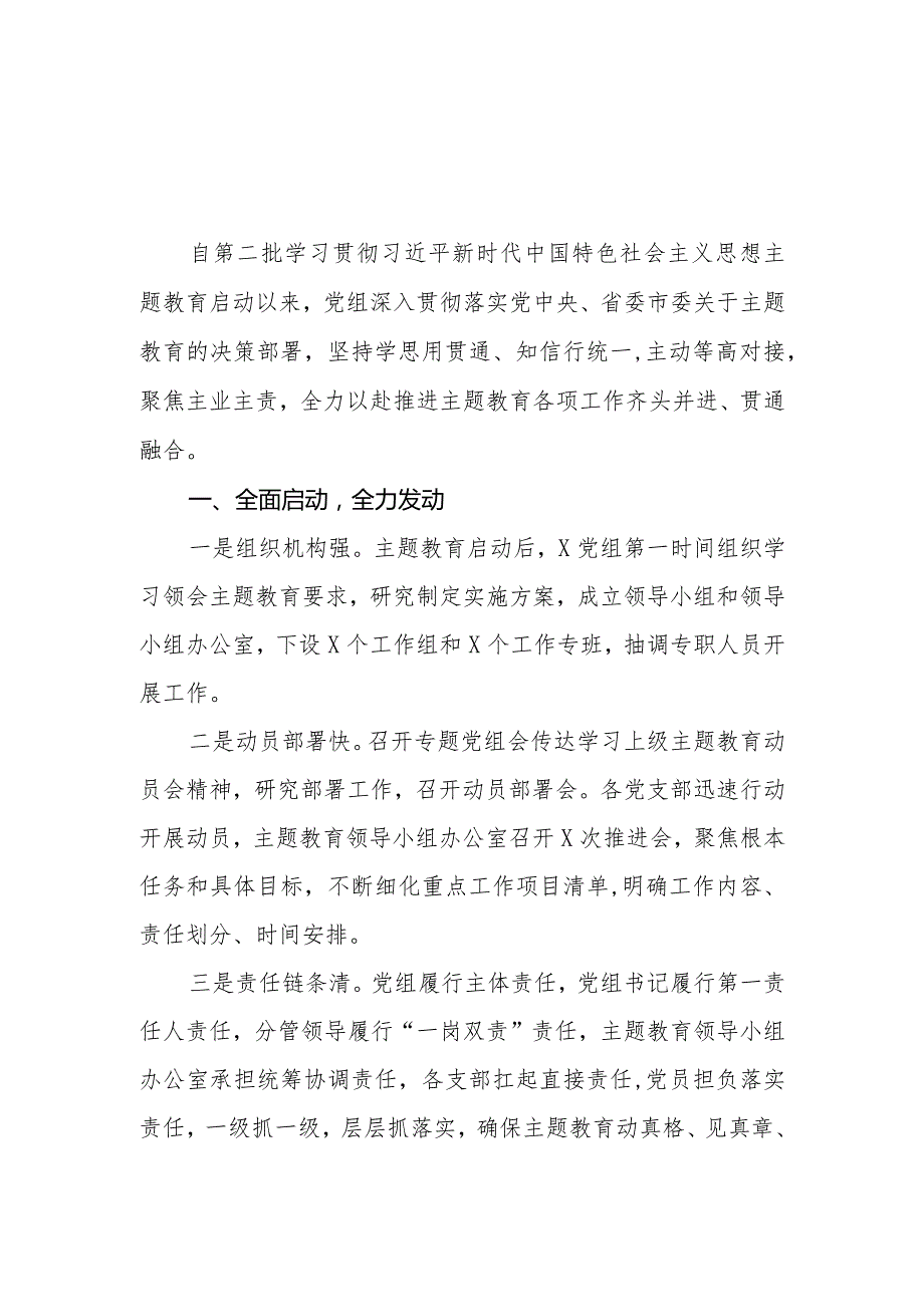 2023第二批主题教育开展情况自查评估总结报告.docx_第1页